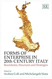 Forms of enterprise in 20th century Italy : boundaries, structures and strategies