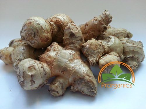 15oz Aromatic Ginger Seeds by Prorganics