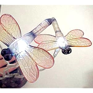 51Xb1tgaY8L. AA300  Dragonflies Solar Garden Lights