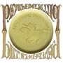 Psychedelic Pill