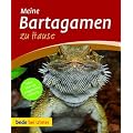 Bartagamen zu Hause