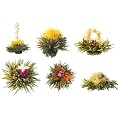 Teaposy Medley Tea- Box of 6