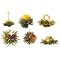 Teaposy Medley Tea - Box of 6