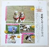 カミン　犬めくり（犬とあそべる365日）　2010年版ひめくりカレンダー　台つき