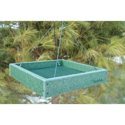 Going Green Platform Feeder