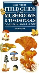 Field Guide to the Mushrooms and Toadstools of Britain and Europe (Field Guides)