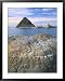 Lake and Tufa Formations, Pyramid Lake Indian Reservation, Nevada, USA Collections Framed Art Poster Print by Scott T. Smith, 31x39