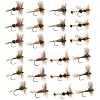 Attractor Trout Fly Fishing Flies Collection