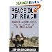 Peace Out of Reach: Middle Eastern Travels and the Search for Reconciliation