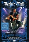 Jack In The Green: Live In Germany 1970-1993 [DVD] [2008]