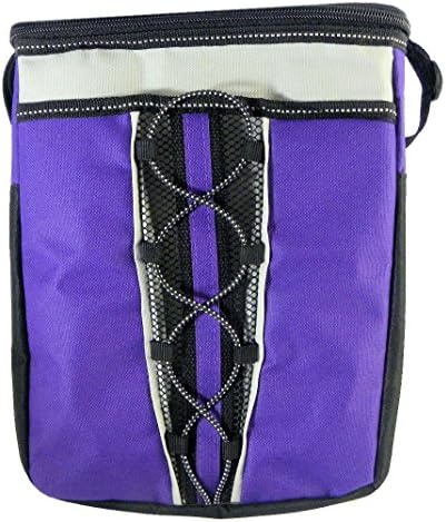 Insulated Collapsible 12-Can Cooler - Assorted Colors (Purple)
