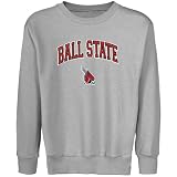 NCAA Ball State Cardinals Youth Ash Logo Arch Applique Crew Neck Fleece Sweatshirt