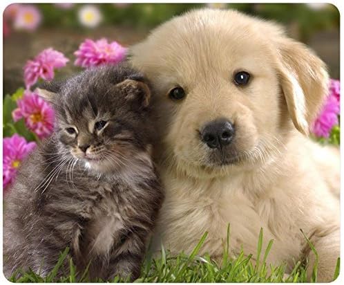 Fiuenld Animals Cat Kitten Dog Golden Friends Mouse Pad Gaming Mousepad in 220mm*180mm*3mm