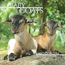 Baby Goats Calendar 2016: 16 Month Calendar Baby Goats Calendar 2016: 16 Month Calendar
