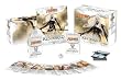 Magic: the Gathering - Avacyn Restored (AVR) Sealed Fat Pack