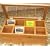 Bentleys Royal Authentic Bamboo Tea Chest 60count Box
