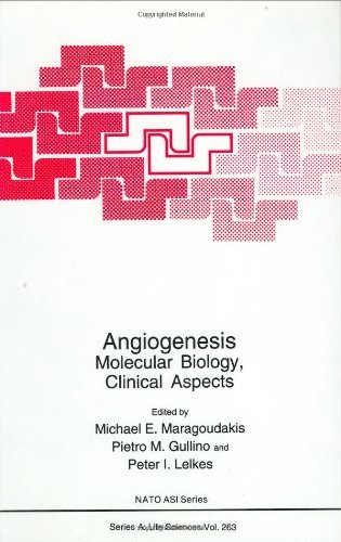Angiogenesis: Molecular Biology, Clinical Aspects (Nato Science Series A:)