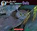 All about Owls