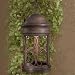 Minka Lavery Outdoor Sage Ridge 8284-61 1-LT 100w (20H x 10W) Sky Pendant Lighting in Vintage Rust