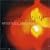 Smooth Jazz Essentials