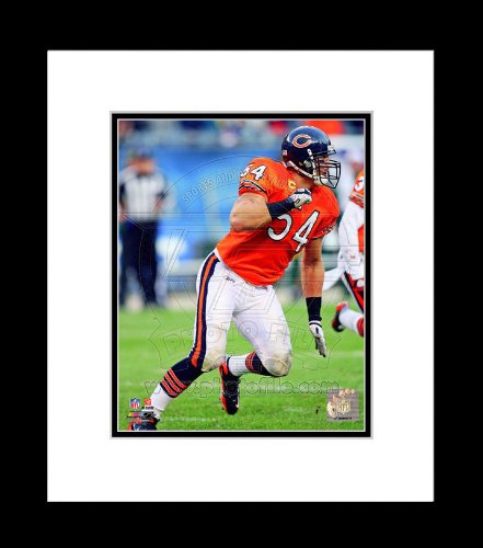Chicago Bears Brian Urlacher 2011 Action Framed Picture 8x10