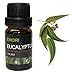 Eucalyptus - 100% Pure Therapeutic Grade Essential Oil 10ML