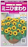 【サカタのタネ】【905-630】ミニひまわり・小夏 小夏