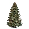 Barcana 9-Foot Alaskan Christmas Tree with 2100 Multi and Clear Lights and Remote Control