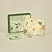 Lang Hummingbirds Deluxe Note Card Set by Susan Winget, 5.25 x 4 Inches, 12 Cards and Envelopes (2080513)