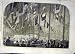 1859 COBDEN BANQUET ROCHDALE SKETCH WILLIAMS PRINT