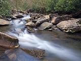 Rushing Water, Great Smoky Mountains National Park - Enchanting 16x20 Photographic Print by Brendan Reals