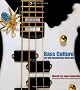 Bass Culture: The John Entwistle Bass Collection: The John Entwistle Guitar Collection