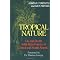 Panama travel guides
