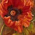 Etienne Red Poppy Canvas Giclee(16 x 16")