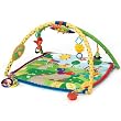 Baby Einstein Seek & Discover Activity Gym