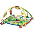Baby Einstein Seek & Discover Activity Gym