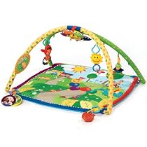 Baby Einstein Seek & Discover Activity Gym