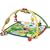 Baby Einstein Seek & Discover Activity Gym