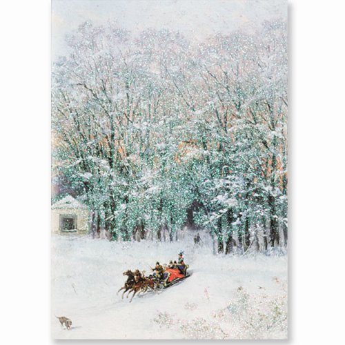 Sparkle Sleigh Ride Holiday Boxed Cards (Christmas Cards, Holiday Cards, Greeting Cards)