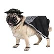 Zorro Pet Costume Dog Costume Halloween