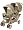 Graco DuoGlider Stroller in Tango in the Tongo