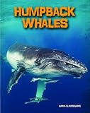 Humpback whales