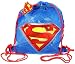 Search : Superman Party Sling Tote Bag