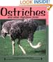 Ostriches and Other Flightless Birds (Nature Watch)