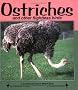 Ostriches and Other Flightless Birds (Nature Watch (Lerner))