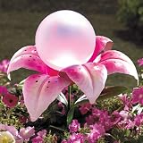 51XeThMYCeL. SL160  Solar Garden Flower Color Changing