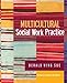 Image of Multicultural Social Work Practice