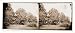Civil War Photo (M): Virginia. Headquarters New York Herald. Army of the Potomac