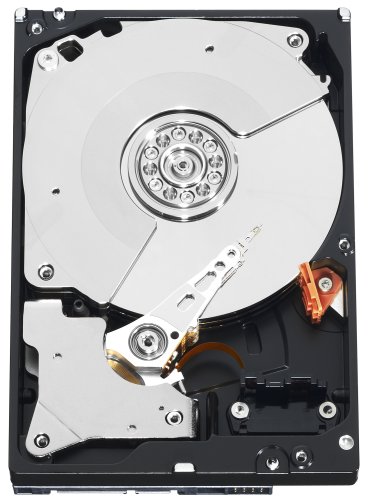 Western Digital Caviar Black 1 TB SATA II, 32 MB Cache, 7200 RPM, 3.5-Inch Internal Hard Drive WD10000LSRTL - Retail