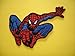 Superhero Iron On Patch (Lot of 2 pieces) Embroidered Applique Motif Fabric Comics Movie Decal 3.5 x 2.3 inches (9 x 6 cm)